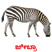 ಜೀಬ್ರಾ picture flashcards