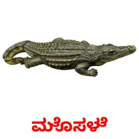 ಮೊಸಳೆ picture flashcards