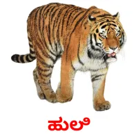 ಹುಲಿ picture flashcards