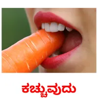 ಕಚ್ಚುವುದು picture flashcards