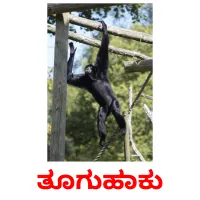 ತೂಗುಹಾಕು picture flashcards