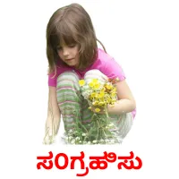 ಸ೦ಗ್ರಹಿಸು picture flashcards