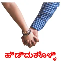 ಹಿಡಿದುಕೊಳ್ಳಿ picture flashcards