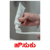 ಹಿಸುಕು picture flashcards