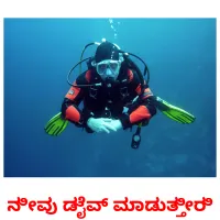 ನೀವು ಡೈವ್ ಮಾಡುತ್ತೀರಿ picture flashcards