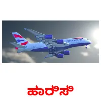 ಹಾರಿಸಿ picture flashcards