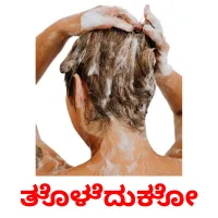 ತೊಳೆದುಕೋ picture flashcards