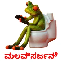 ಮಲವಿಸರ್ಜನೆ picture flashcards