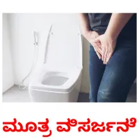 ಮೂತ್ರ ವಿಸರ್ಜನೆ picture flashcards