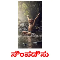 ಸಿಂಪಡಿಸು picture flashcards