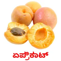 ಏಪ್ರಿಕಾಟ್ ansichtkaarten