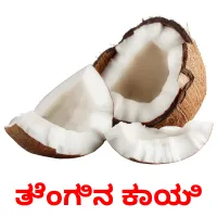 ತೆಂಗಿನ ಕಾಯಿ ansichtkaarten