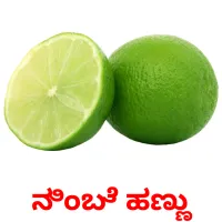 ನಿಂಬೆ ಹಣ್ಣು ansichtkaarten