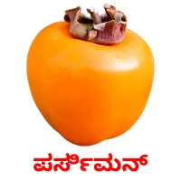 ಪರ್ಸಿಮನ್ ansichtkaarten