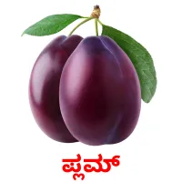 ಪ್ಲಮ್ ansichtkaarten