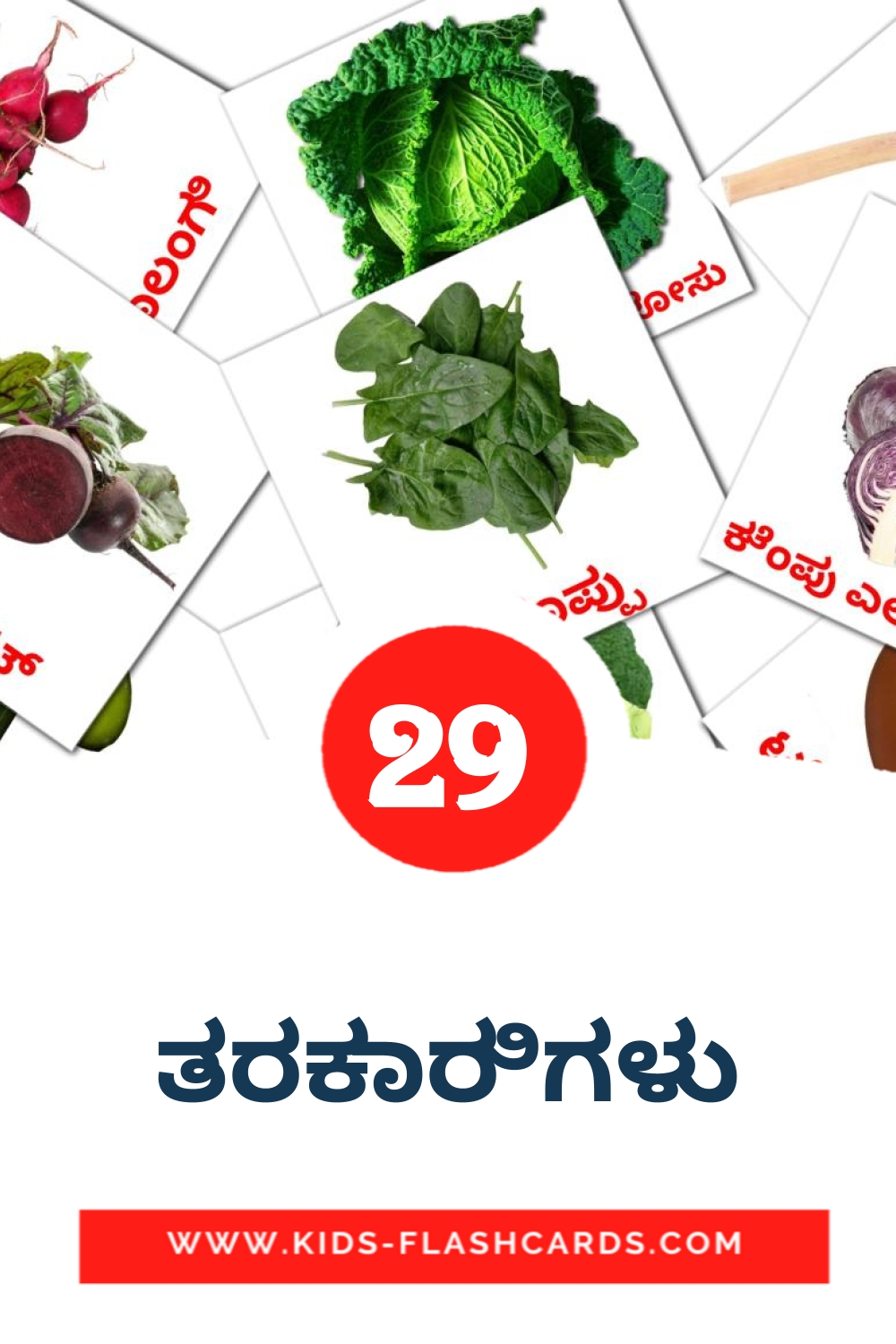 29 ತರಕಾರಿಗಳು Picture Cards for Kindergarden in kannada