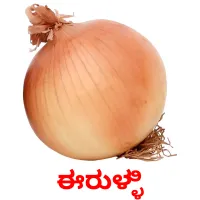 ಈರುಳ್ಳಿ picture flashcards