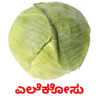 ಎಲೆಕೋಸು picture flashcards