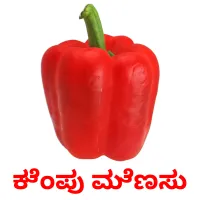 ಕೆಂಪು ಮೆಣಸು picture flashcards