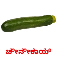 ಚೀನೀಕಾಯಿ picture flashcards