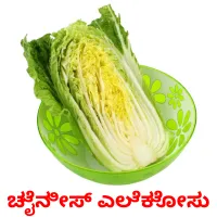 ಚೈನೀಸ್ ಎಲೆಕೋಸು picture flashcards