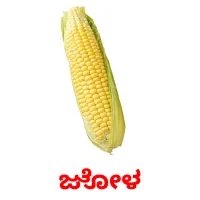 ಜೋಳ picture flashcards