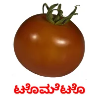 ಟೊಮೆಟೊ picture flashcards