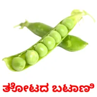 ತೋಟದ ಬಟಾಣಿ picture flashcards