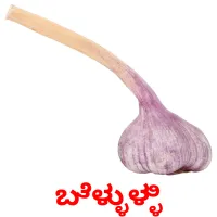 ಬೆಳ್ಳುಳ್ಳಿ picture flashcards