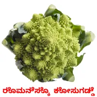 ರೊಮನೆಸ್ಕೊ  ಕೋಸುಗಡ್ಡೆ picture flashcards