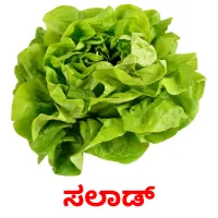 ಸಲಾಡ್ picture flashcards