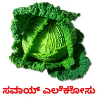 ಸವಾಯ್ ಎಲೆಕೋಸು picture flashcards