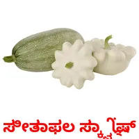 ಸೀತಾಫಲ ಸ್ಕ್ವ್ಯಾಷ್ picture flashcards