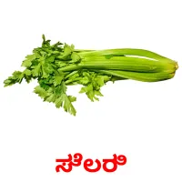 ಸೆಲರಿ picture flashcards