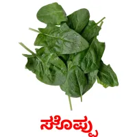 ಸೊಪ್ಪು picture flashcards