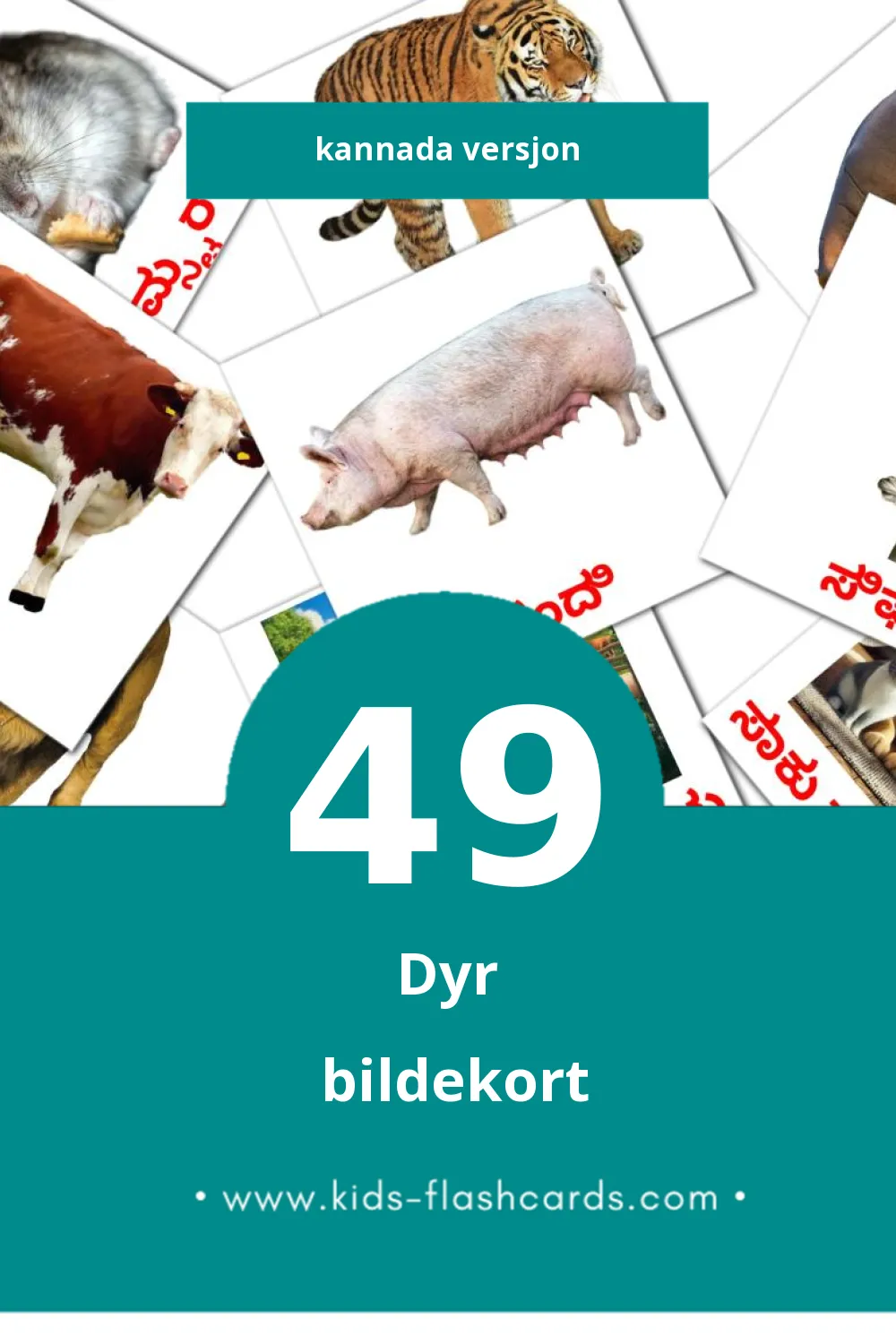 Visuelle ಪ್ರಾಣಿಗಳು bildekort for småbarn (49 kort på Kannada)