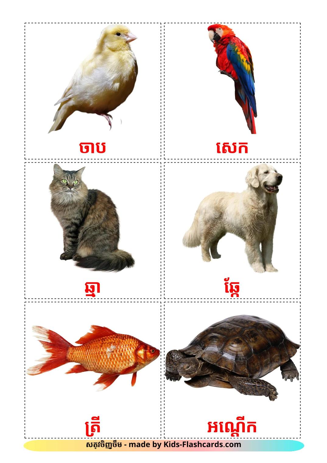 Domestic animals - 11 Free Printable khmer Flashcards 