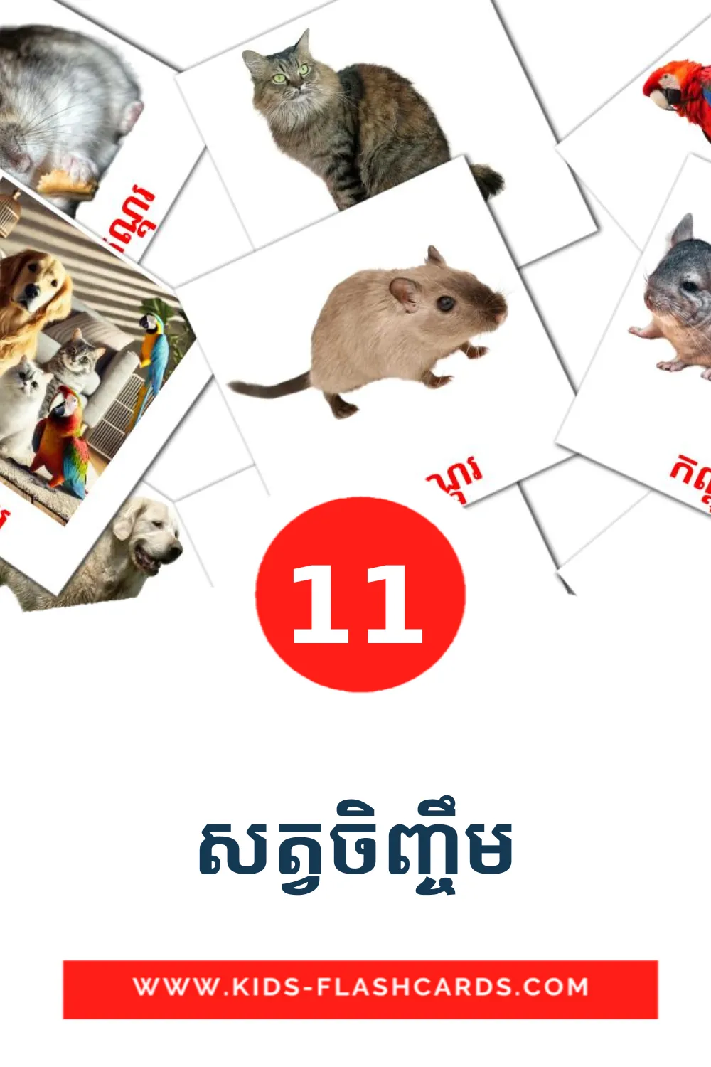 11 សត្វចិញ្ចឹម Picture Cards for Kindergarden in khmer