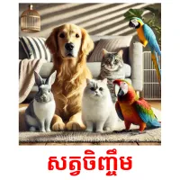 សត្វចិញ្ចឹម picture flashcards