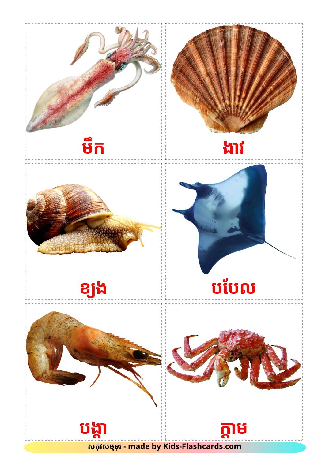 Animali marini - 29 flashcards khmer stampabili gratuitamente