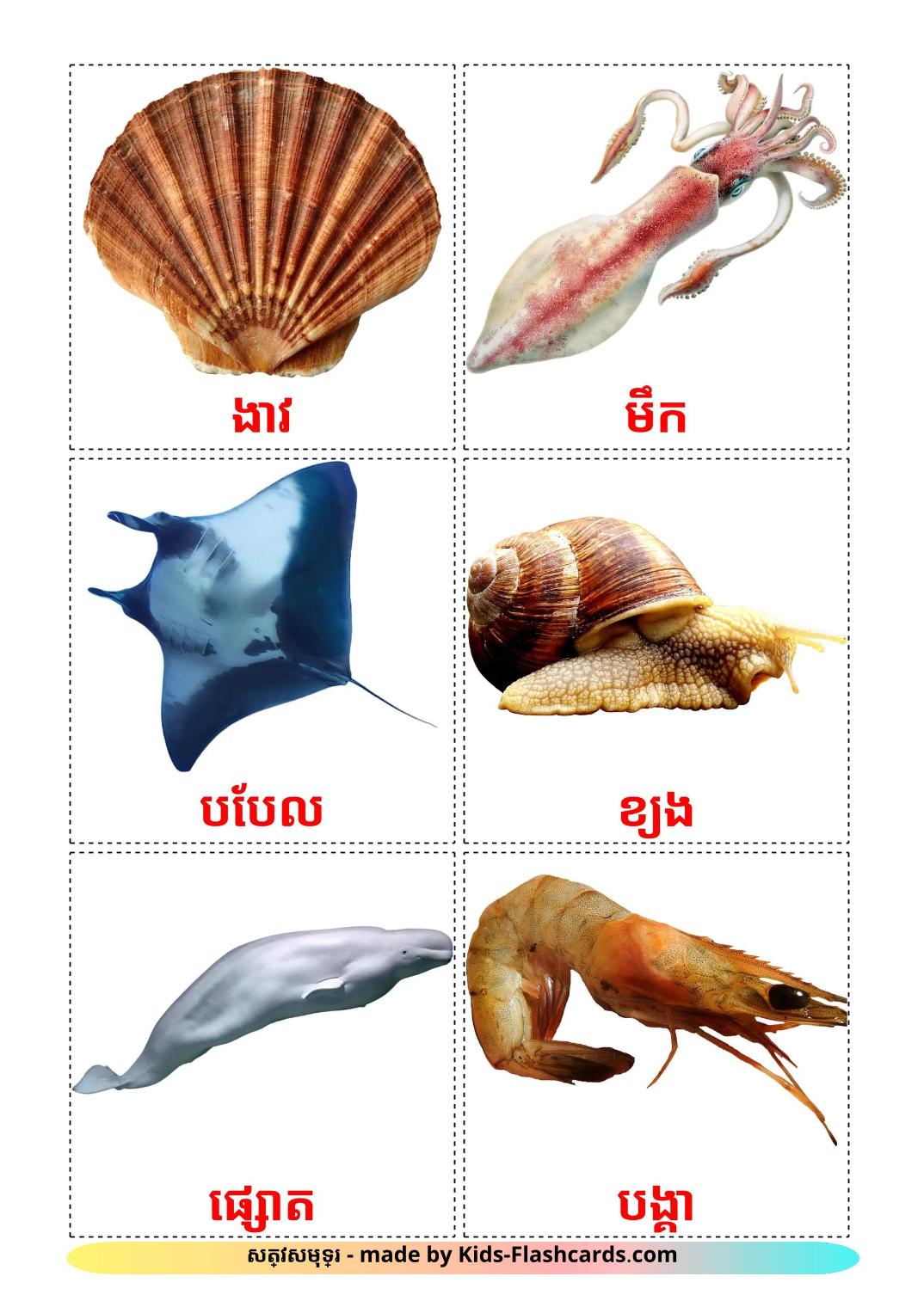 Sea animals - 30 Free Printable khmer Flashcards 