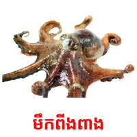 មឹកពីងពាង picture flashcards