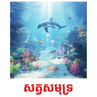 សត្វសមុទ្រ picture flashcards