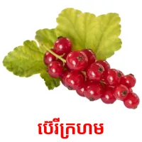 ប៊េរីក្រហម Bildkarteikarten