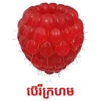 ប៊េរីក្រហម Bildkarteikarten