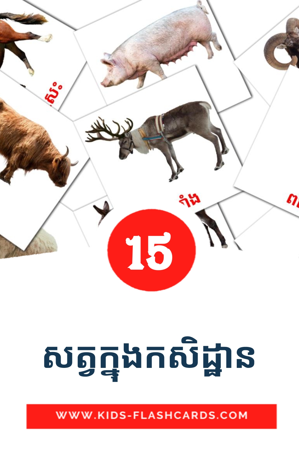 15 សត្វក្នុងកសិដ្ឋាន Picture Cards for Kindergarden in khmer