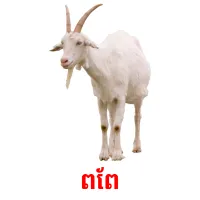 ពពែ ansichtkaarten