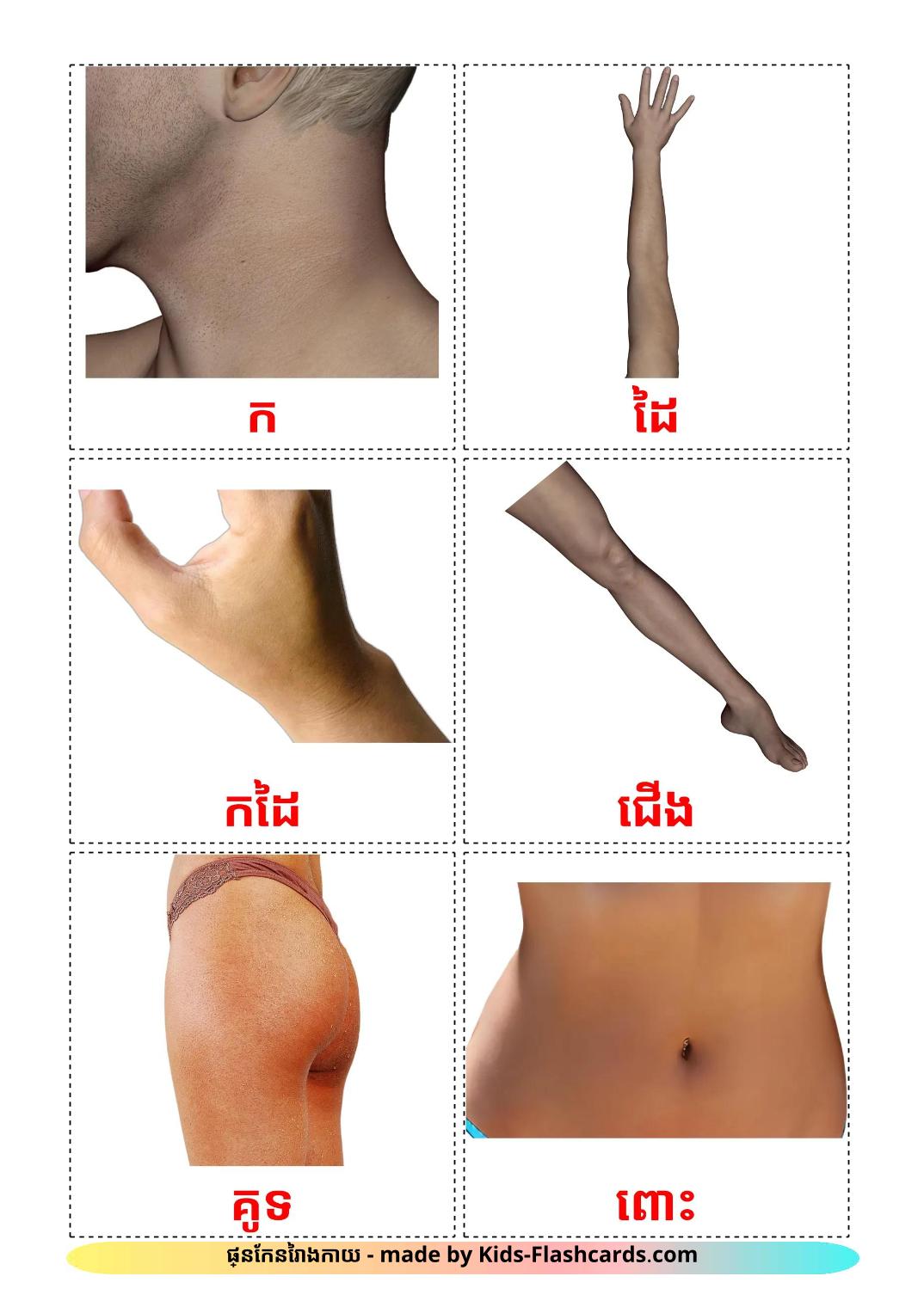 Body Parts - 26 Free Printable khmer Flashcards 