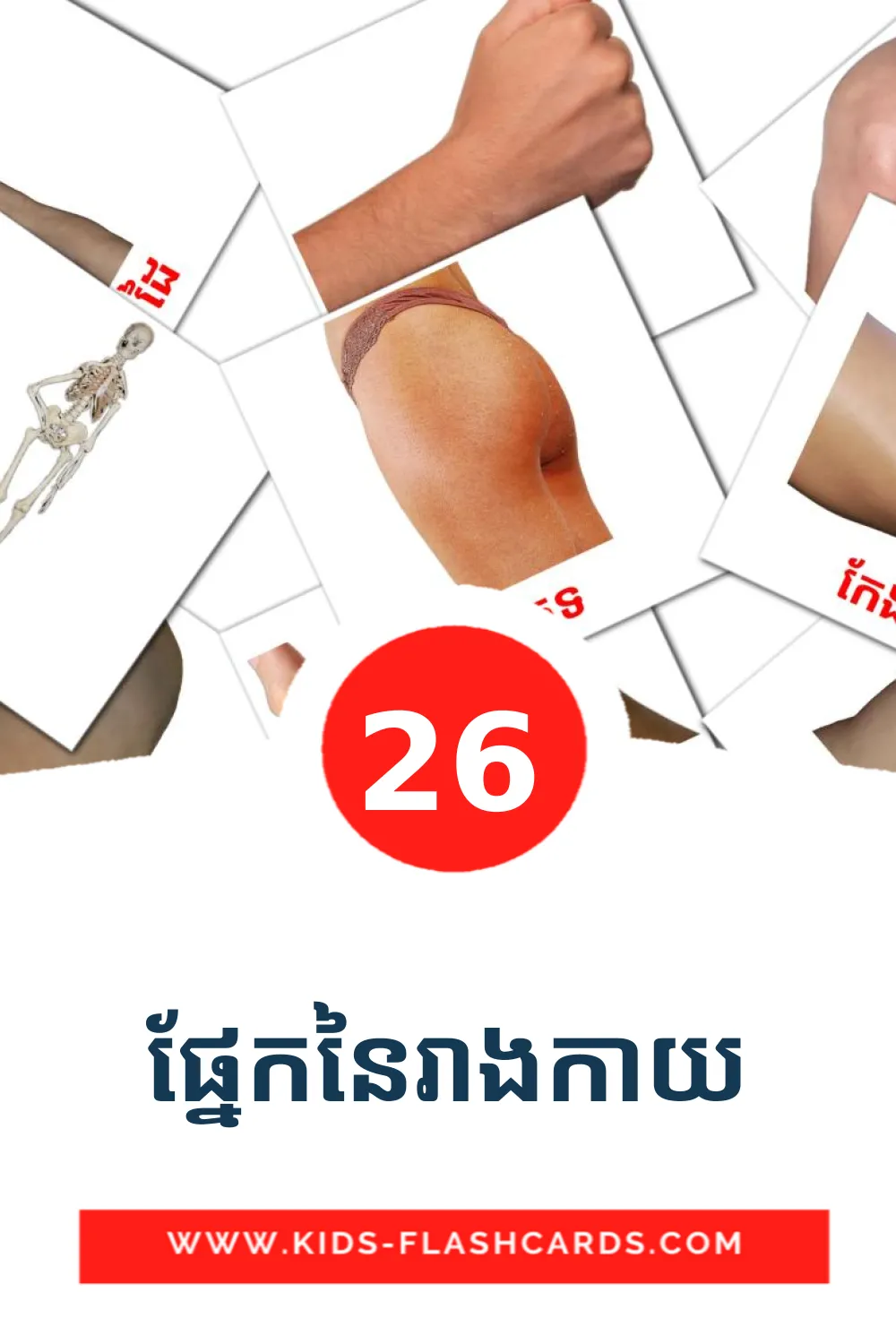 26 ផ្នែកនៃរាងកាយ Picture Cards for Kindergarden in khmer