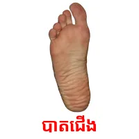 បាតជើង picture flashcards